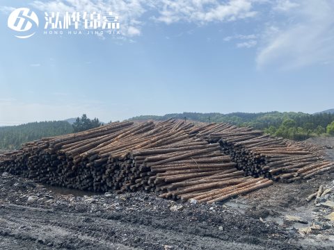 河道打樁為什么選擇松木樁來處理軟地基？-松木樁施工使用范圍